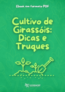 Ebook Cultivo De Girassóis: Dicas E Truques | loja123shop