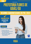 Resumos Esquematizados para Concurso Vigia da Prefeitura Flores De Goias Go 2025 - Conteúdo de Acordo com Edital