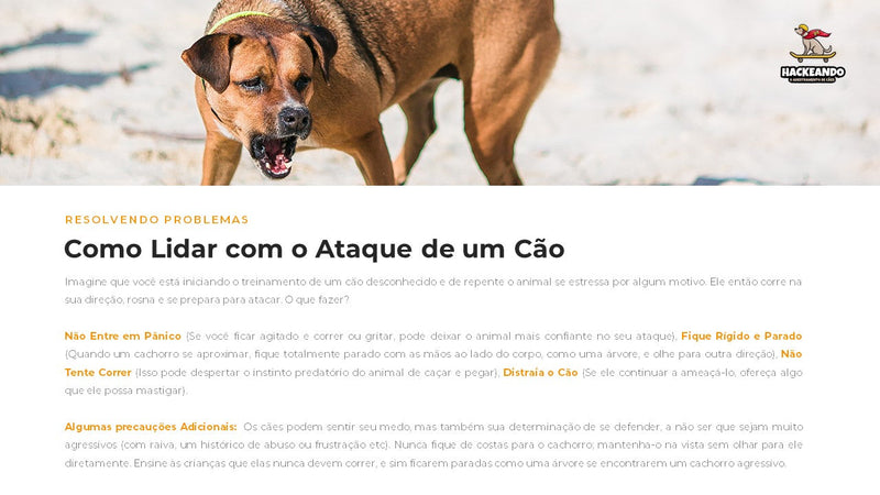 Ebook Hackeando o Adestramento de Cães | loja123shop