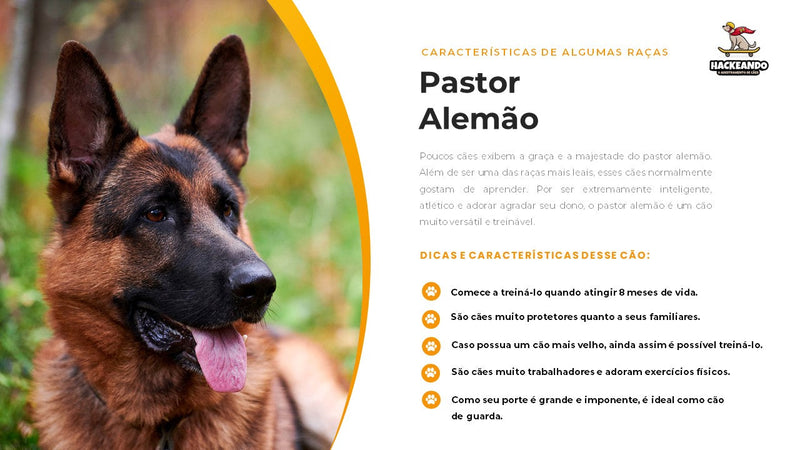 Ebook Hackeando o Adestramento de Cães | loja123shop